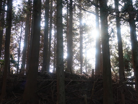 水登 高見山