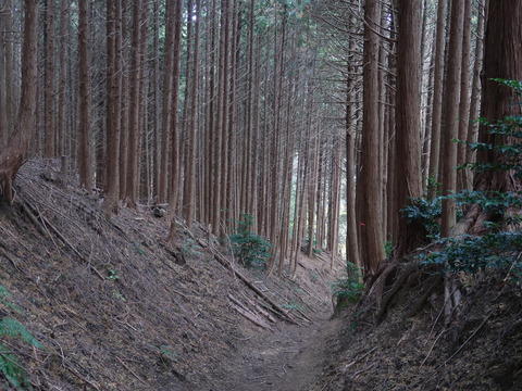 金剛~葛城