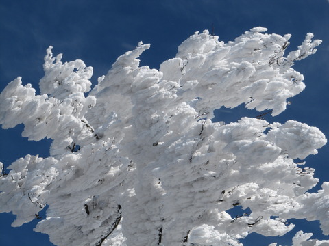 高見山