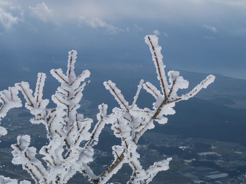 雪の伊吹山2019