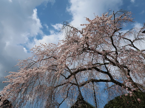水登 百貝岳
