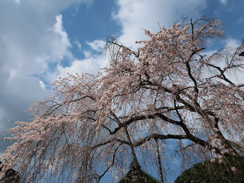 水登　百貝岳