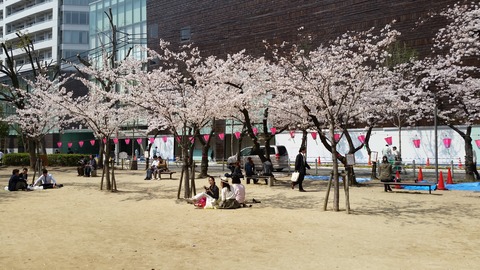 新町公園6