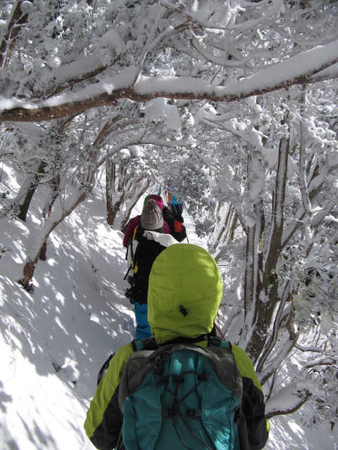 高見山