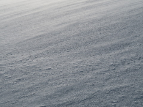 雪の伊吹山2019
