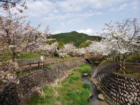 かもきりの湯2