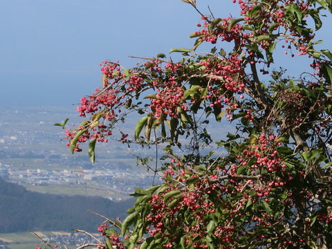 伊吹山2018