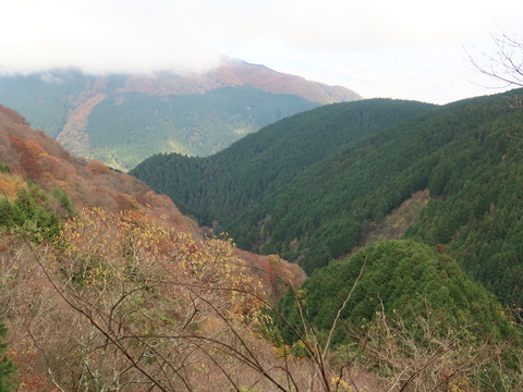 金剛~葛城