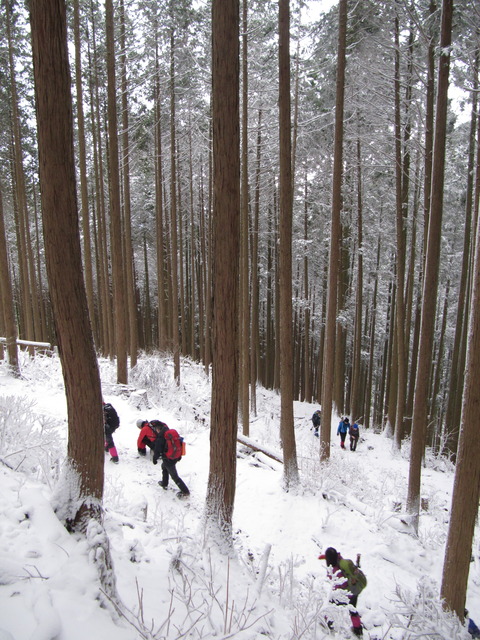 高見山4