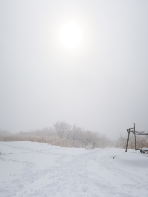 雪の伊吹山2019