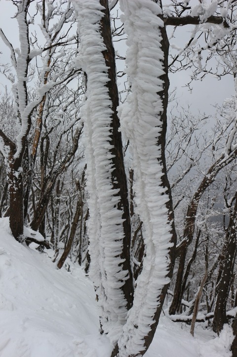 高見山