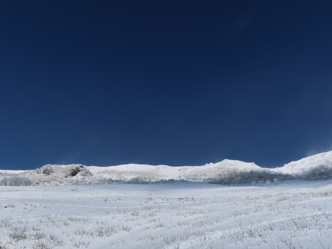 雪の伊吹山2019