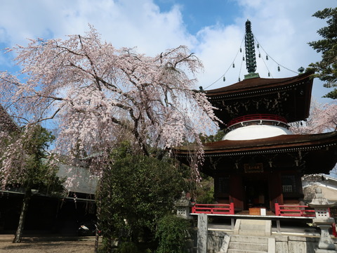 水登 百貝岳