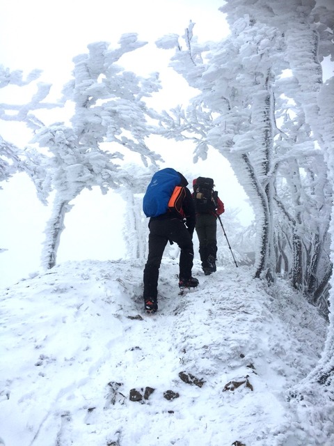 高見山8