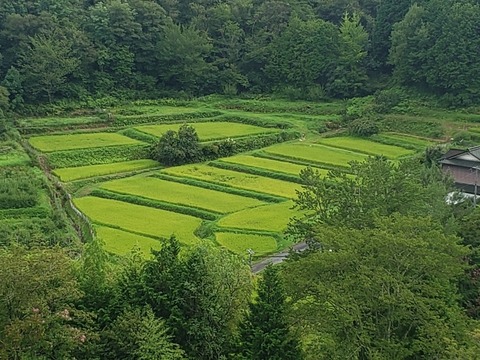 LINE_ALBUM_2022-8-17～18 ローソク温泉🥰_220819_18