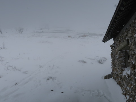 雪の伊吹山2019