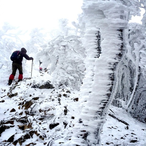 高見山6