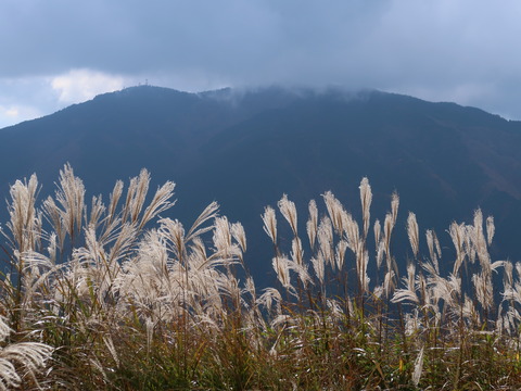 金剛~葛城