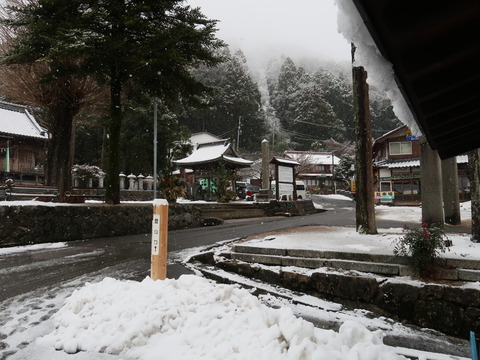 雪の伊吹山2019