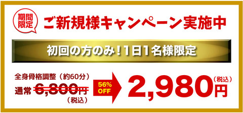 新規(1日1名)
