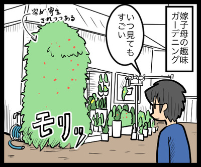ガーデニング熟練者_1
