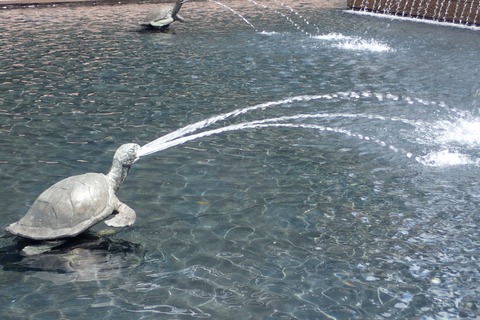 IMG-7231