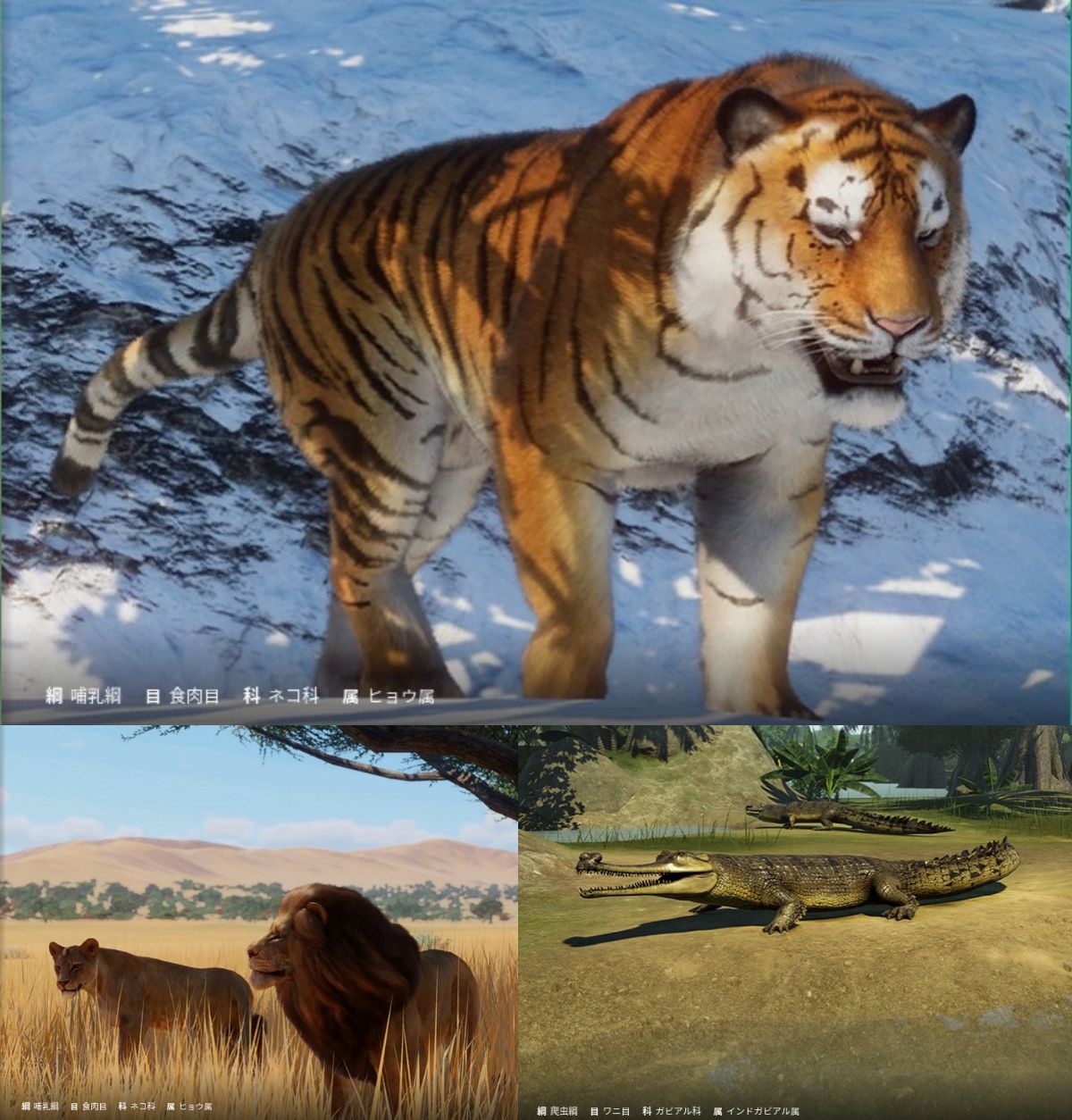 プラネットズー イボイノシシ イリエワニ インドガビアル 保護クレジット 検証 4 遅咲き店長のゲームプレイ日記