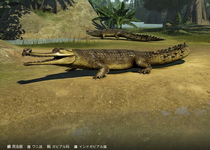プラネットズー イボイノシシ イリエワニ インドガビアル 保護クレジット 検証 4 遅咲き店長のゲームプレイ日記