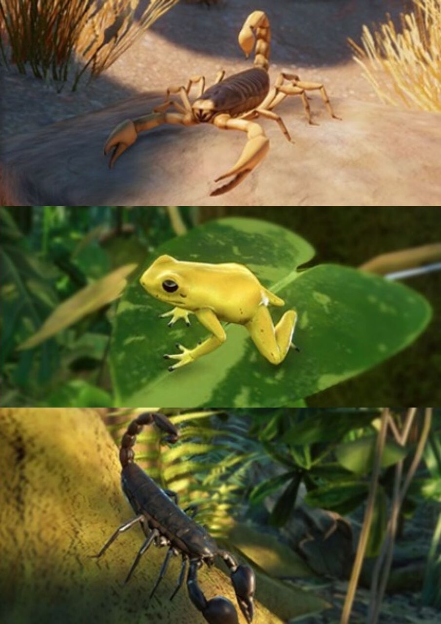 プラネットズー 検証 展示動物 5 遅咲き店長のゲームプレイ日記 プラネットズー 検証 展示動物 5 遅咲き店長のゲームプレイ日記