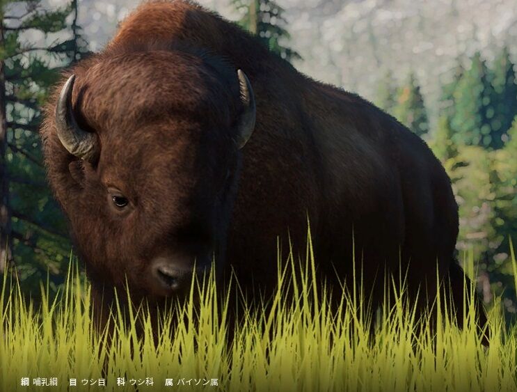 プラネットズー アムールトラ アメリカバイソン アルダブラゾウガメ 保護クレジット 検証 3 遅咲き店長のゲームプレイ日記