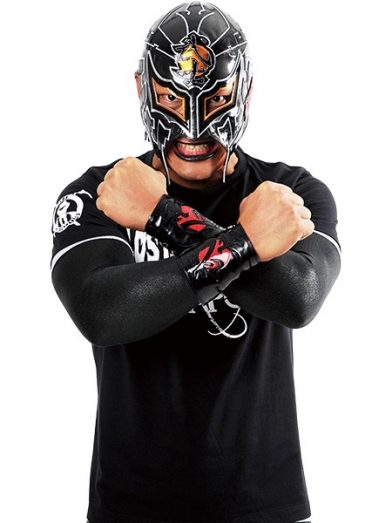 bushi-392x523