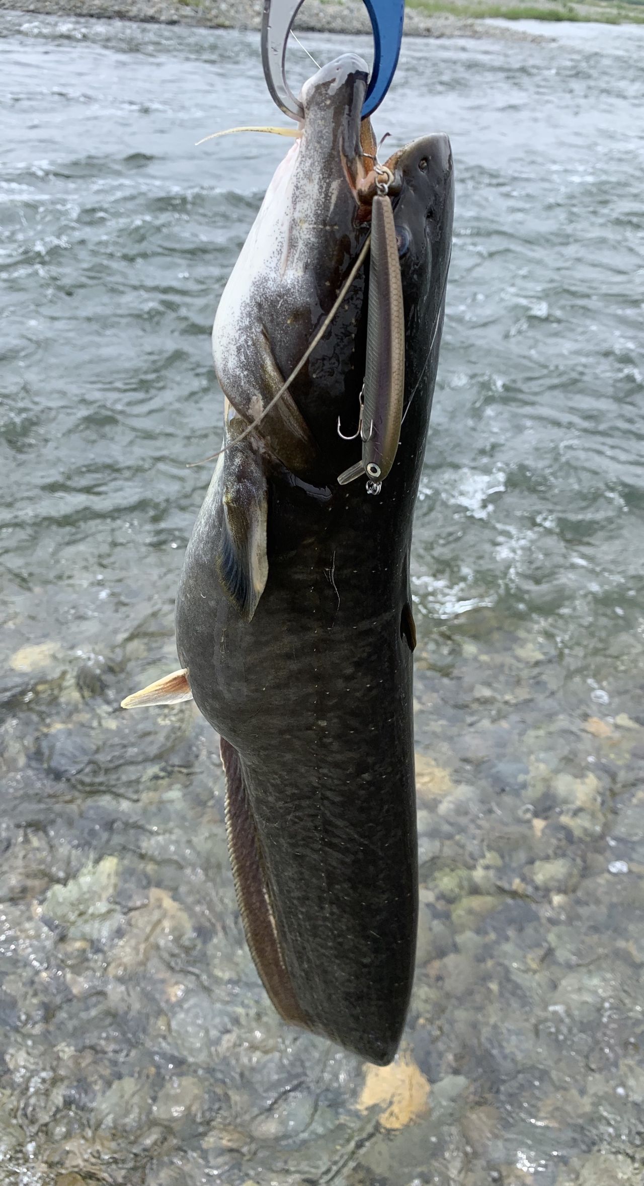 多摩川 グランドスラム Shino0525のブログ