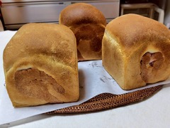 LINE_ALBUM_20251010_251011_7