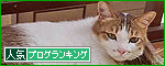 br_decobanner_20100624012319
