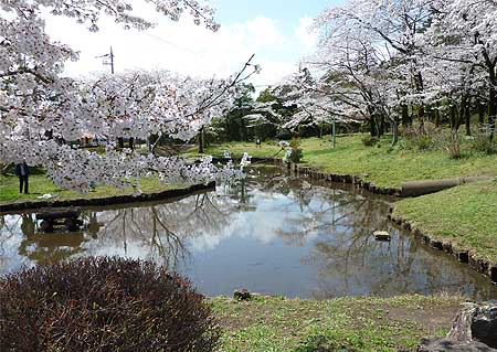 P1050242-