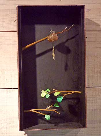 P1060082-