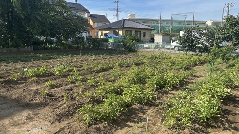 2025-06-21 15.55.25●_R