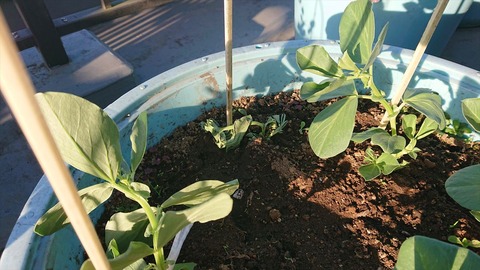 2020-11-22 15.02.45●_R