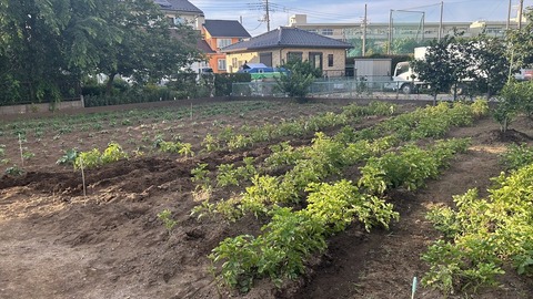 2025-06-21 17.38.35●_R