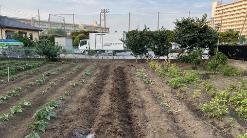 2025-06-29 18.31.44●_R