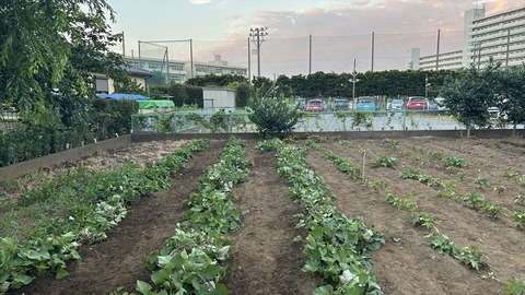 2025-07-13 18.46.38●_R