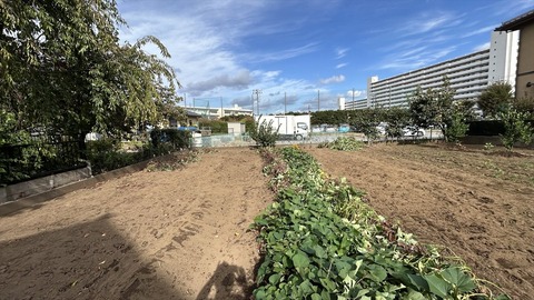 2025-10-18 13.48.24●_R