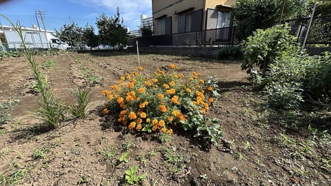 2025-10-18 11.13.52-1●_R