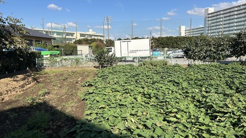 2024-10-14 14.18.56-1●_R