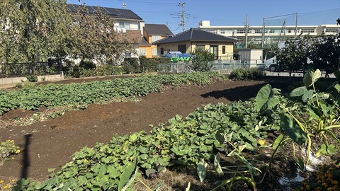 2024-11-04 10.34.06-1●_R