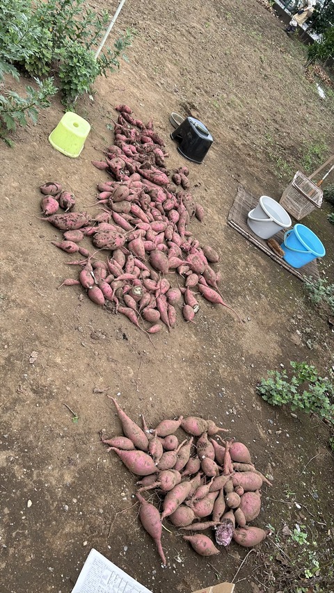 2025-10-13 12.25.45●_R