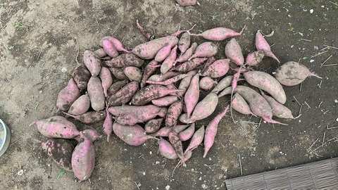 2025-10-18 13.11.45-1●_R