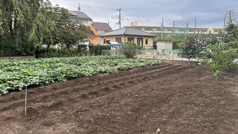 2025-09-15 16.30.25_R