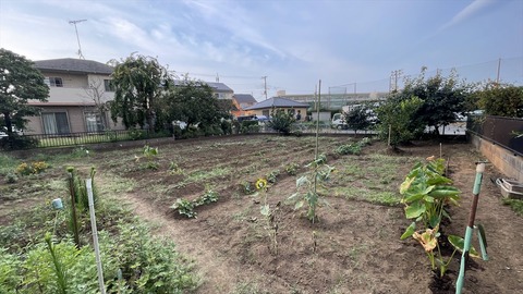 IMG_E6319●_R