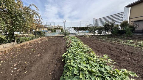 2025-11-02 10.31.29●_R